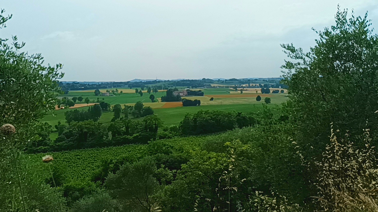 Veduta della zona da dove i partigiani dovevano risalire la collina verso il casale Veduta della zona da dove i partigiani dovevano risalire la collina verso il casale